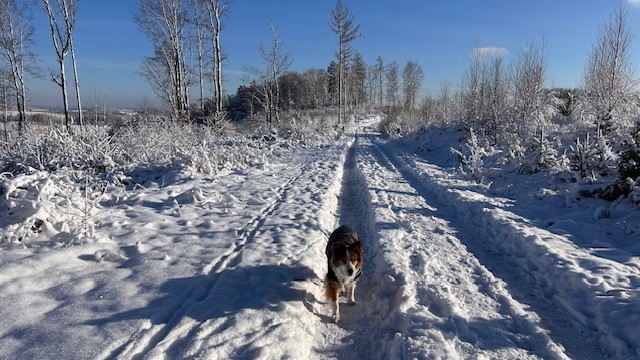 Wandelen in de sneeuw