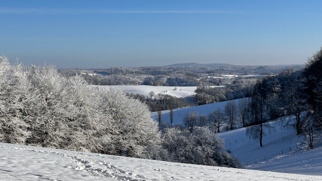 Wandelroute Ruine Windeck, hondenwandeling Morsbach