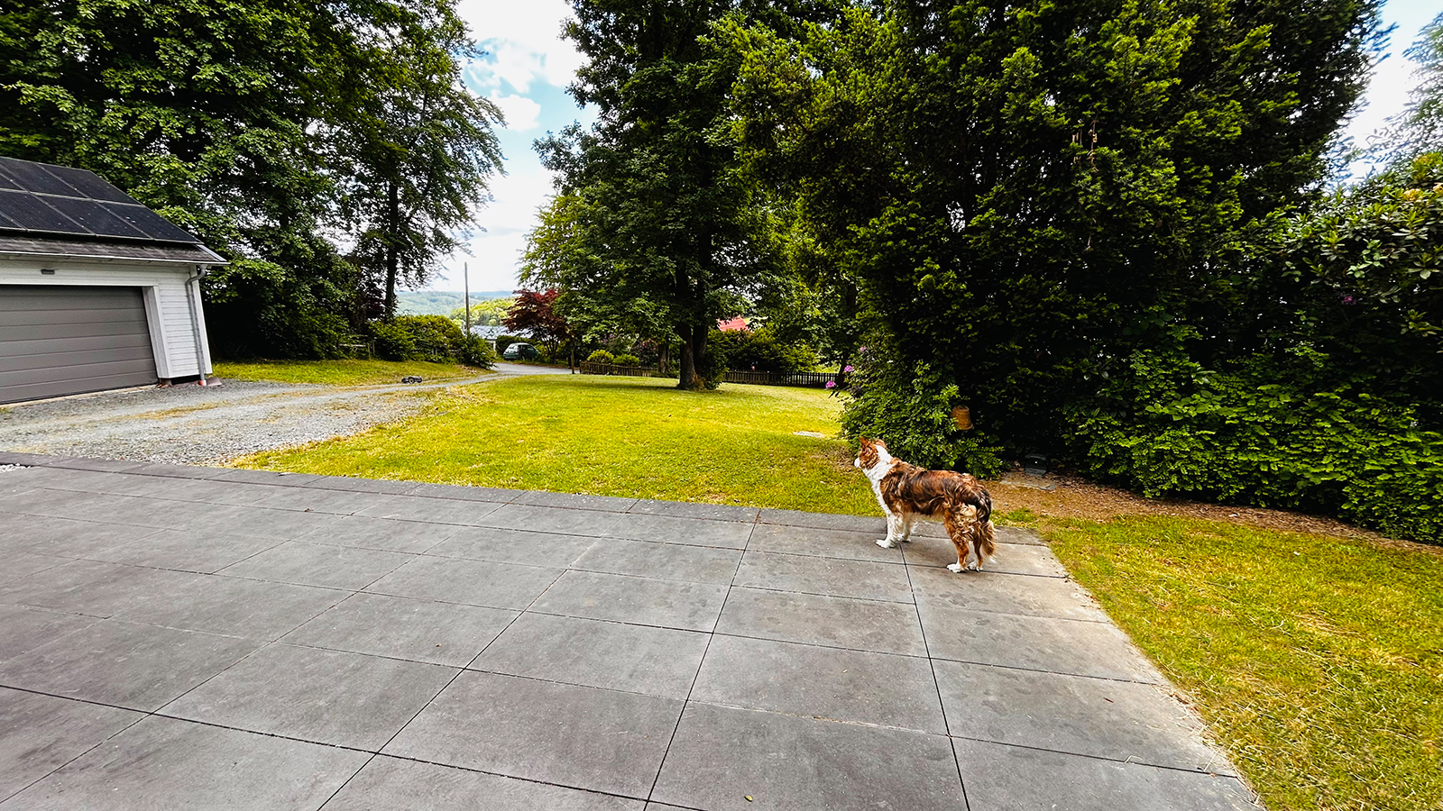 Terras met uitzicht, vakantie met hond Bergisches Land