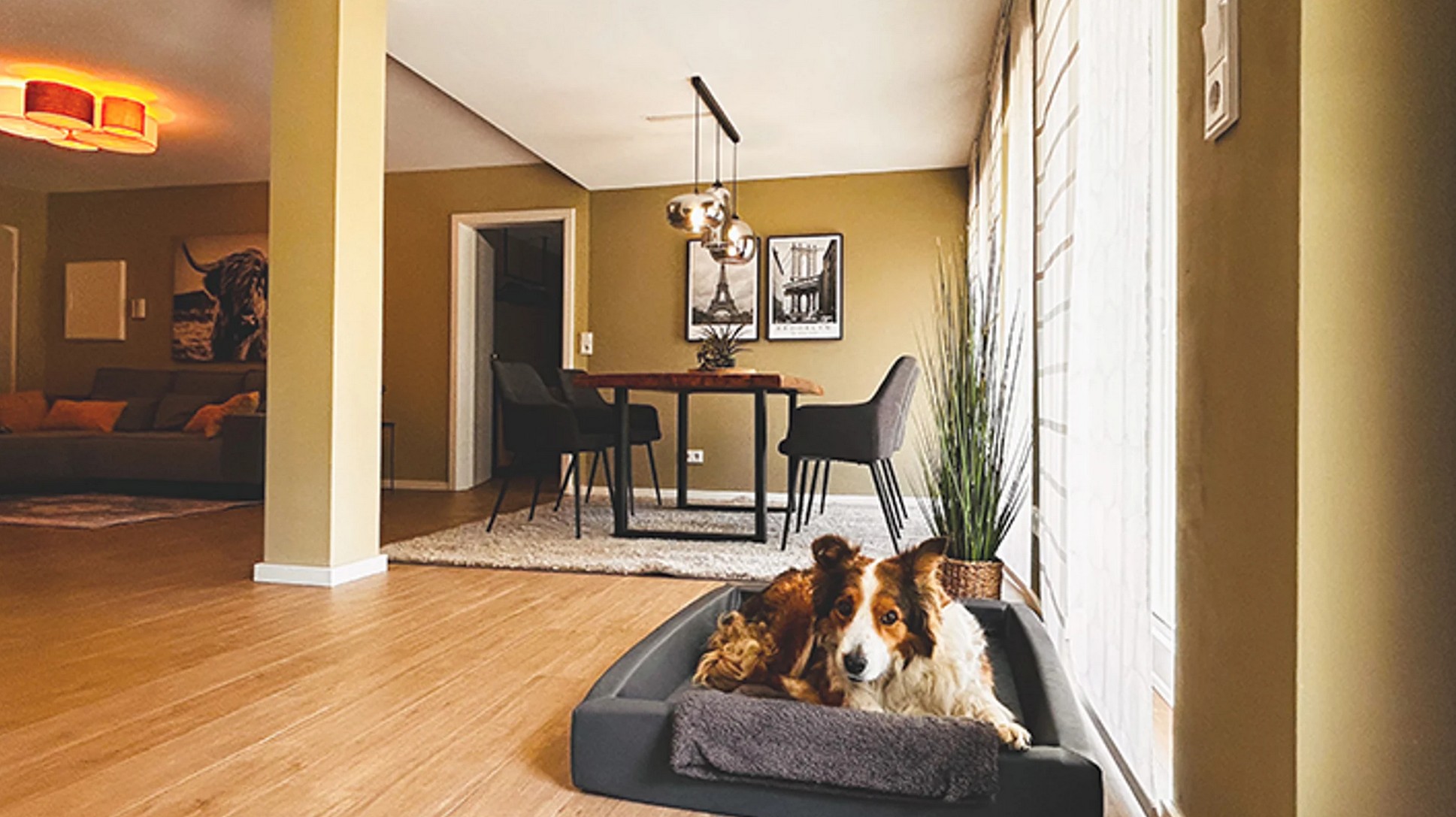 Woonkamer vakantieappartement, hond toegestaan